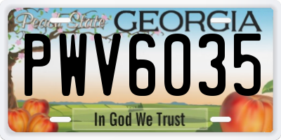 GA license plate PWV6035