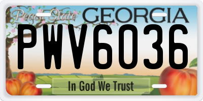 GA license plate PWV6036