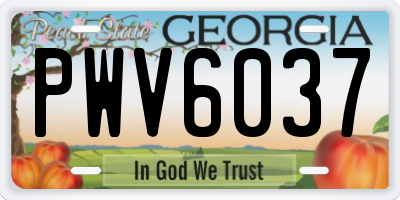 GA license plate PWV6037