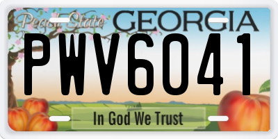GA license plate PWV6041