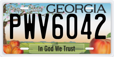GA license plate PWV6042