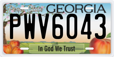GA license plate PWV6043