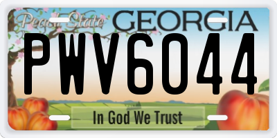 GA license plate PWV6044