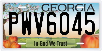 GA license plate PWV6045