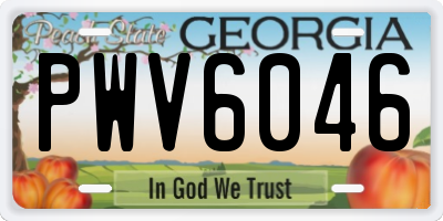 GA license plate PWV6046
