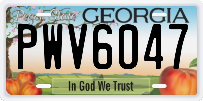 GA license plate PWV6047