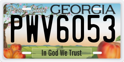GA license plate PWV6053