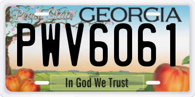 GA license plate PWV6061