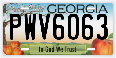 GA license plate PWV6063