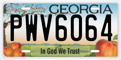 GA license plate PWV6064