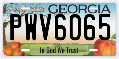 GA license plate PWV6065
