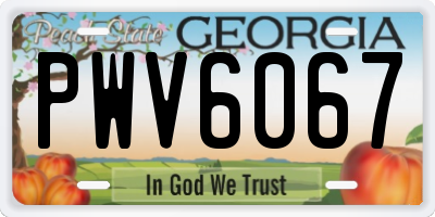 GA license plate PWV6067