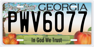 GA license plate PWV6077