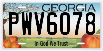 GA license plate PWV6078