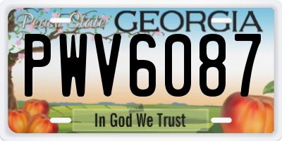 GA license plate PWV6087