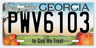 GA license plate PWV6103