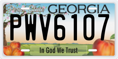 GA license plate PWV6107