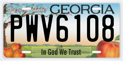 GA license plate PWV6108