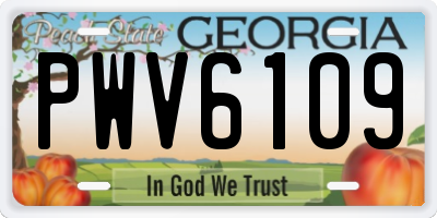 GA license plate PWV6109