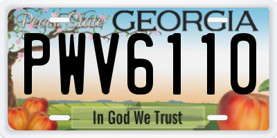 GA license plate PWV6110