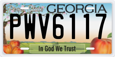 GA license plate PWV6117