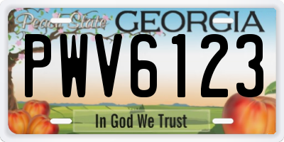 GA license plate PWV6123