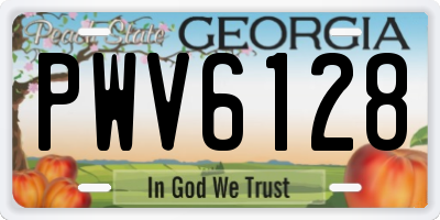 GA license plate PWV6128