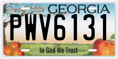 GA license plate PWV6131
