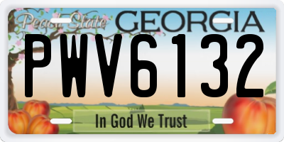 GA license plate PWV6132