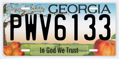 GA license plate PWV6133