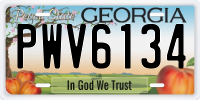 GA license plate PWV6134