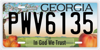 GA license plate PWV6135