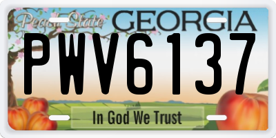 GA license plate PWV6137