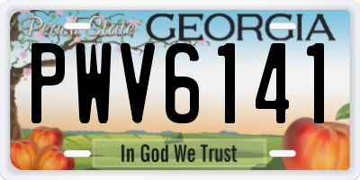 GA license plate PWV6141