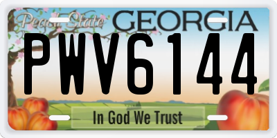 GA license plate PWV6144