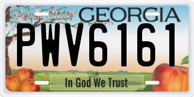 GA license plate PWV6161