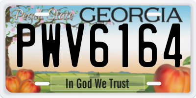 GA license plate PWV6164