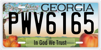 GA license plate PWV6165