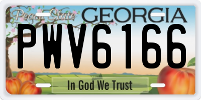 GA license plate PWV6166