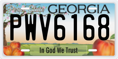 GA license plate PWV6168
