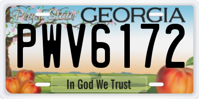 GA license plate PWV6172