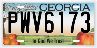 GA license plate PWV6173