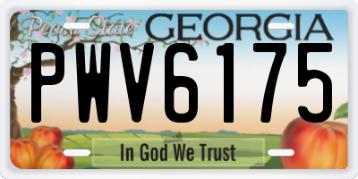 GA license plate PWV6175