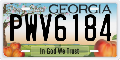 GA license plate PWV6184