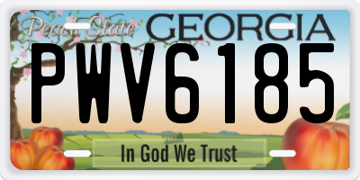 GA license plate PWV6185