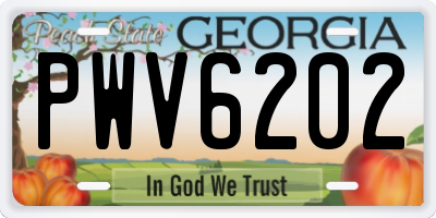 GA license plate PWV6202