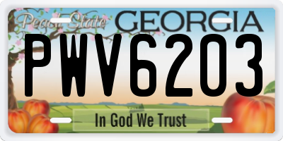 GA license plate PWV6203