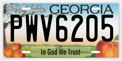 GA license plate PWV6205