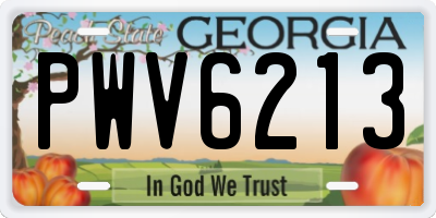 GA license plate PWV6213