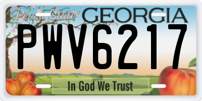 GA license plate PWV6217